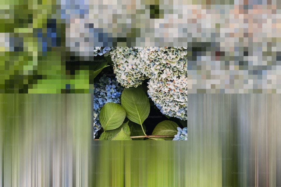 这一幕预示着什么？散户蜂拥入市之际 美企内部人士纷繁抛股套现